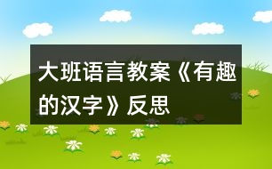 大班語言教案《有趣的漢字》反思