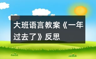 大班語言教案《一年過去了》反思