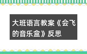 大班語言教案《會飛的音樂盒》反思