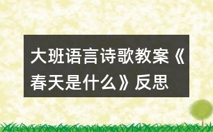 大班語言詩歌教案《春天是什么》反思