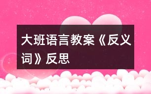 大班語言教案《反義詞》反思