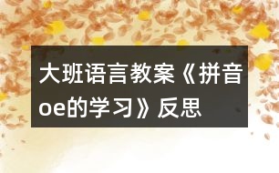 大班語言教案《拼音o、e的學(xué)習(xí)》反思