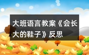 大班語(yǔ)言教案《會(huì)長(zhǎng)大的鞋子》反思