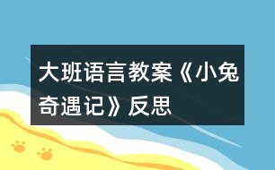 大班語言教案《小兔奇遇記》反思