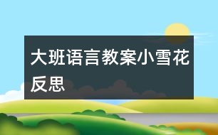 大班語(yǔ)言教案小雪花反思