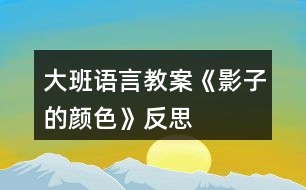 大班語言教案《影子的顏色》反思