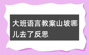 大班語(yǔ)言教案山坡哪兒去了反思