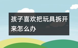 孩子喜歡把玩具拆開來怎么辦