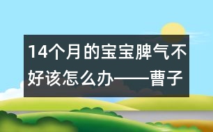 14個月的寶寶脾氣不好該怎么辦――曹子芳回答