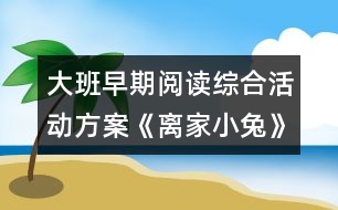 大班早期閱讀綜合活動(dòng)方案《離家小兔》