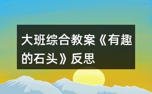 大班綜合教案《有趣的石頭》反思