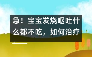 急！寶寶發(fā)燒嘔吐什么都不吃，如何治療――康宏回答