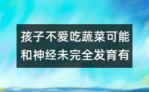 孩子不愛吃蔬菜可能和神經(jīng)未完全發(fā)育有關