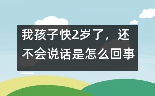 我孩子快2歲了，還不會(huì)說(shuō)話是怎么回事――林茅回答