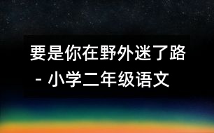 要是你在野外迷了路 - 小學(xué)二年級(jí)語(yǔ)文教案