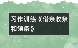 （習(xí)作訓(xùn)練）《借條、收條和領(lǐng)條》