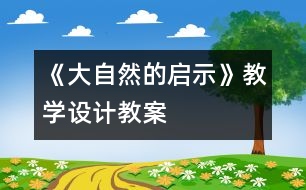 《大自然的啟示》教學(xué)設(shè)計,教案