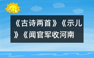 《古詩兩首》《示兒》、《聞官軍收河南河北》教學(xué)設(shè)計(jì)之一