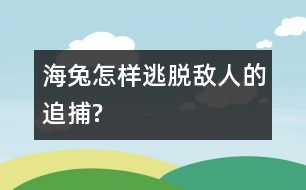 海兔怎樣逃脫敵人的追捕?