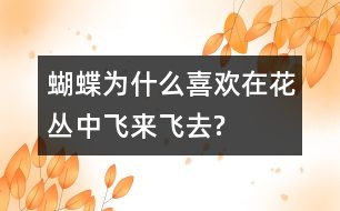 蝴蝶為什么喜歡在花叢中飛來飛去?