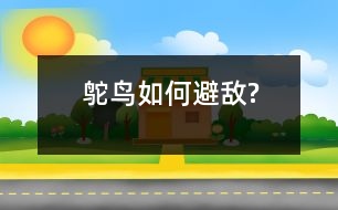 鴕鳥如何避敵?