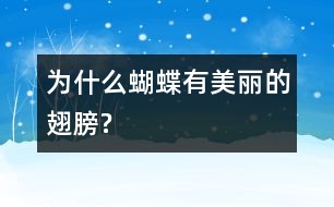 為什么蝴蝶有美麗的翅膀?