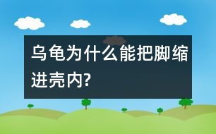 烏龜為什么能把腳縮進殼內?