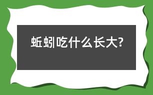 蚯蚓吃什么長(zhǎng)大?