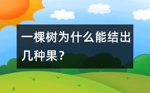 一棵樹為什么能結(jié)出幾種果？