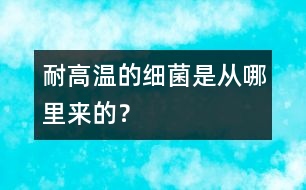 耐高溫的細(xì)菌是從哪里來(lái)的？