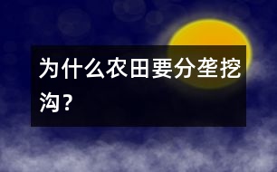 為什么農(nóng)田要分壟挖溝？