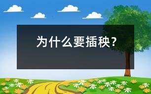 為什么要插秧？
