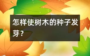 怎樣使樹木的種子發(fā)芽？