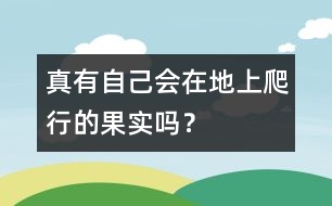 真有自己會(huì)在地上爬行的果實(shí)嗎？