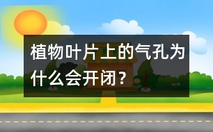 植物葉片上的氣孔為什么會開閉？