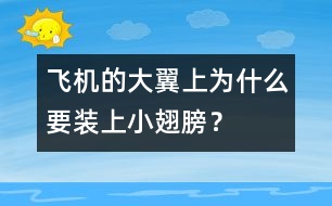 飛機的大翼上為什么要裝上小翅膀？