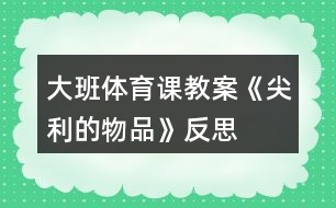 大班體育課教案《尖利的物品》反思