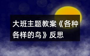 大班主題教案《各種各樣的鳥(niǎo)》反思