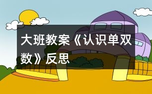 大班教案《認(rèn)識(shí)單雙數(shù)》反思