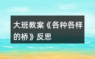 大班教案《各種各樣的橋》反思