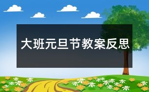 大班元旦節(jié)教案反思