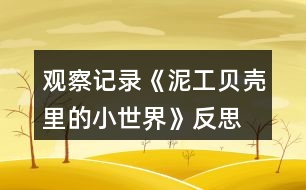 觀察記錄《泥工—貝殼里的小世界》反思