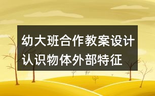 幼大班合作教案設計認識物體外部特征