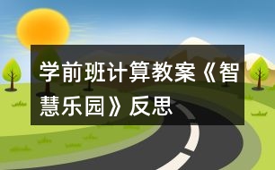 學(xué)前班計算教案《智慧樂園》反思