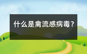 什么是禽流感病毒？