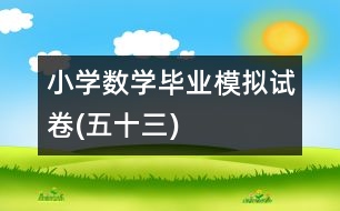 小學(xué)數(shù)學(xué)畢業(yè)模擬試卷(五十三)