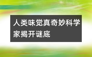 人類(lèi)味覺(jué)真奇妙科學(xué)家揭開(kāi)謎底