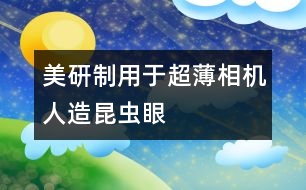 美研制用于超薄相機人造昆蟲眼