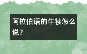 阿拉伯語的牛犢怎么說？