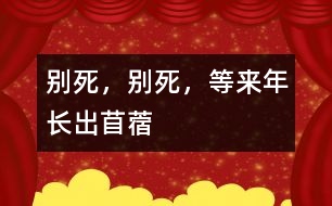 別死，別死，等來年長(zhǎng)出苜蓿